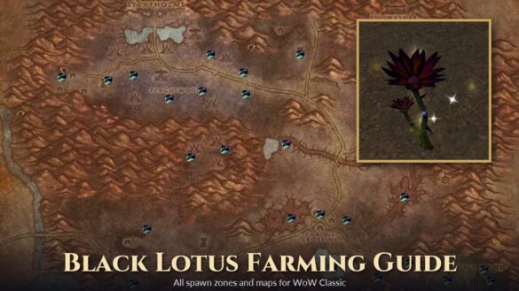In-game map of Eastern Plaguelands with Black Lotus spawn points and a close-up screenshot of a Black Lotus herb